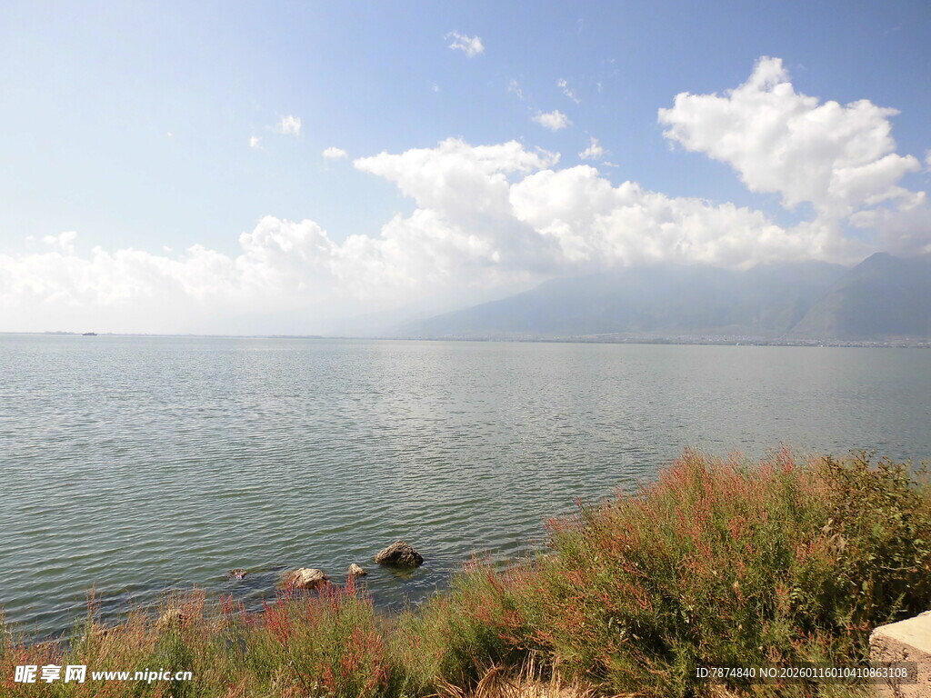 湖畔风光 水域与岸边长草