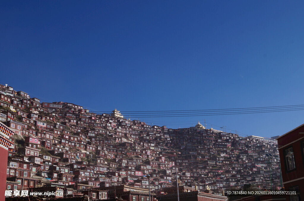 山坡上密集的房屋景观
