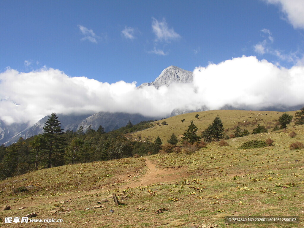 山间草地与远处云雾山峰