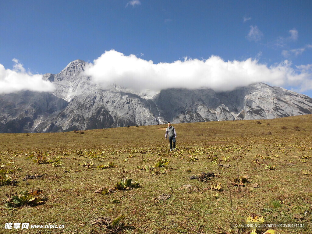 漫步草原望雪山