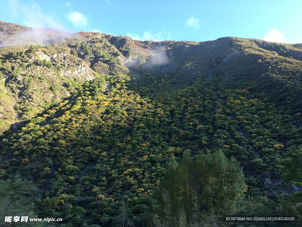 山间绿意盎然的秀丽景致