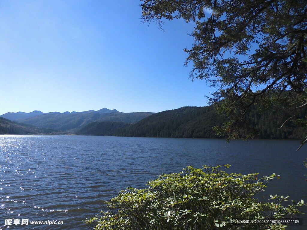 宁静湖畔的自然美景