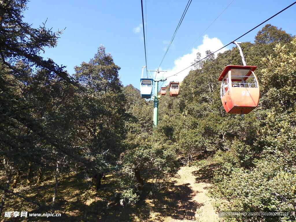 山间缆车穿梭于葱郁树林