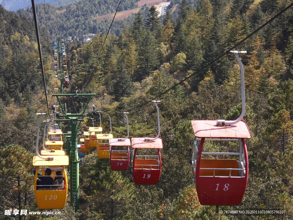 山间缆车穿梭于葱郁树林