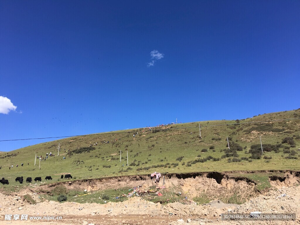 蓝天绿野间的自然景致