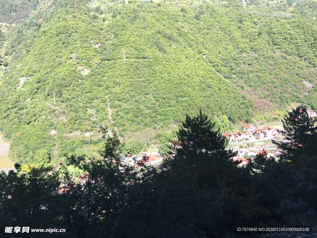 山间绿意景观