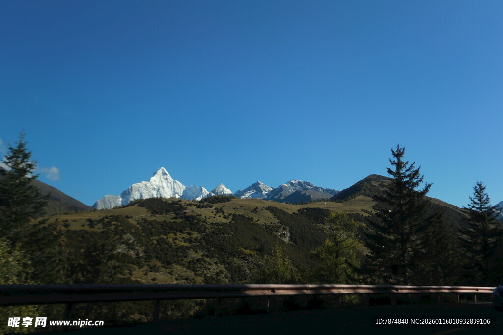 雪山松林美景