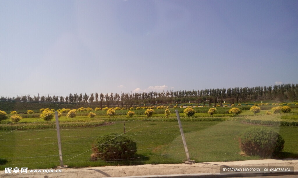 美丽高尔夫球场风光