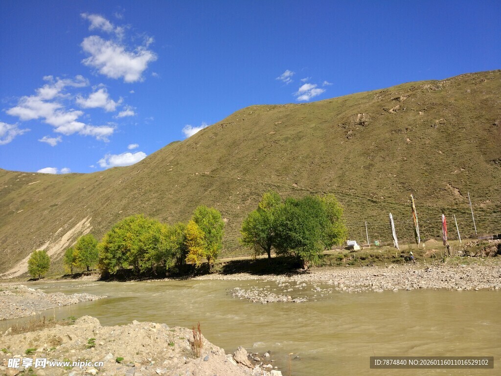 山间河流旁的葱郁树木