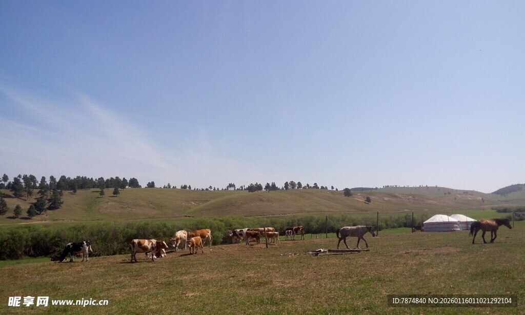 草原牧场景色