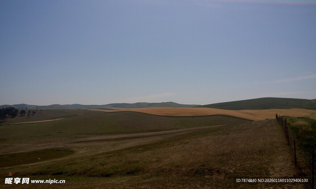 广袤田野风光