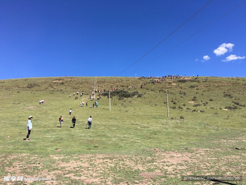 草原上的人群漫步景象