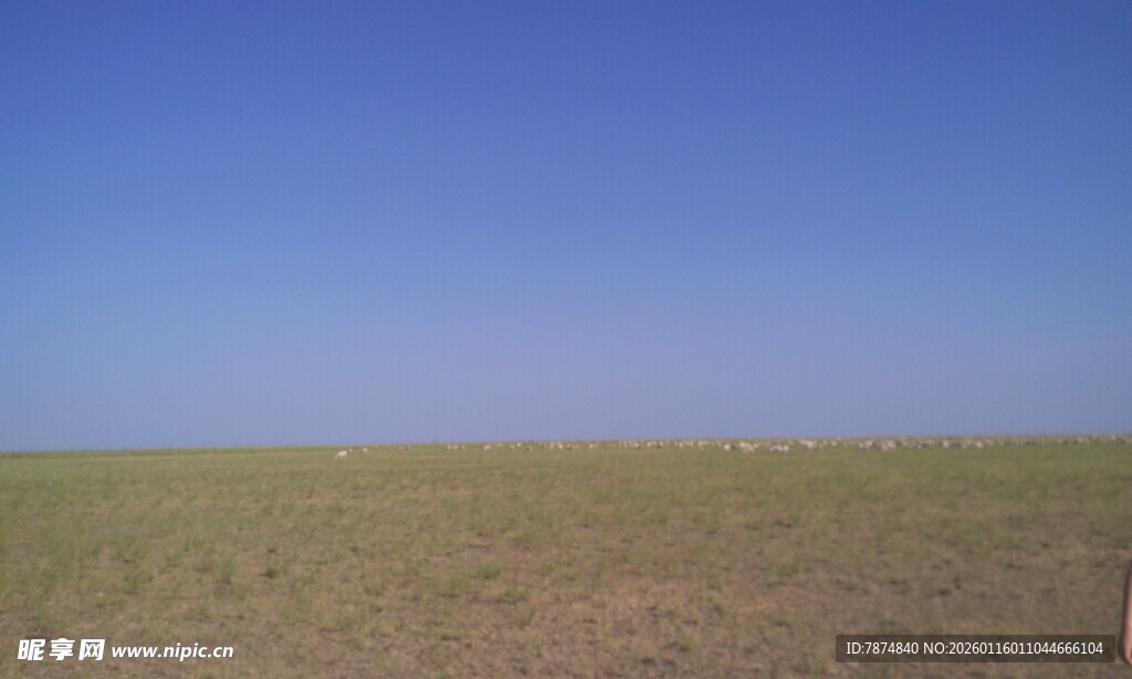 广袤草原上的晴朗蓝天