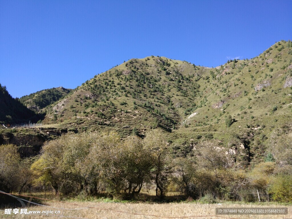 青山绿树间的开阔景致
