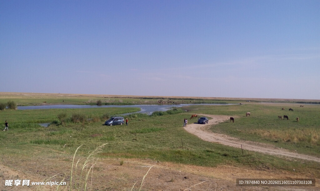 草原风光中的蜿蜒小路