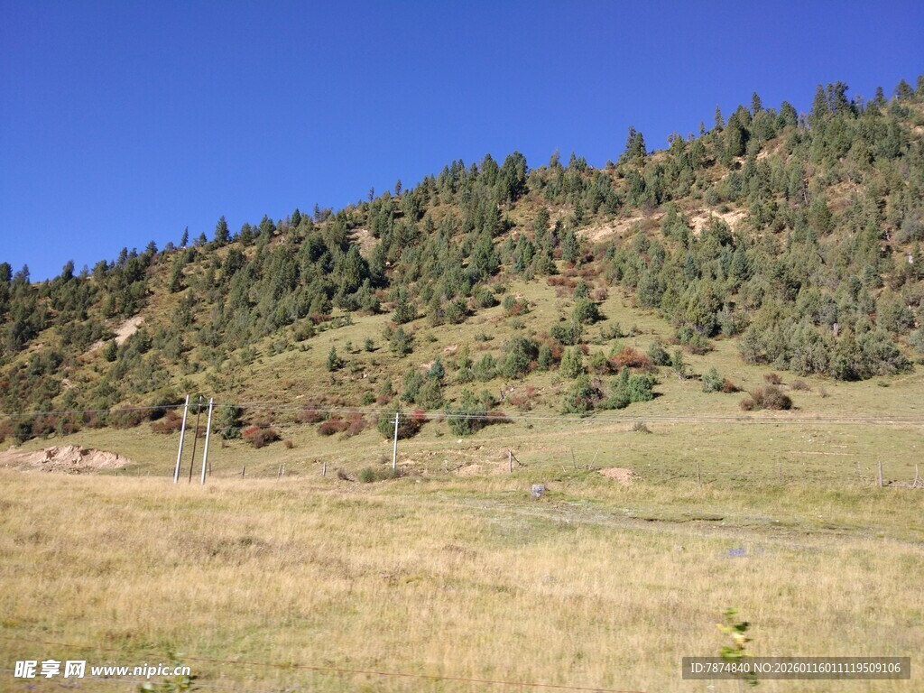 山坡草地蓝天自然景观