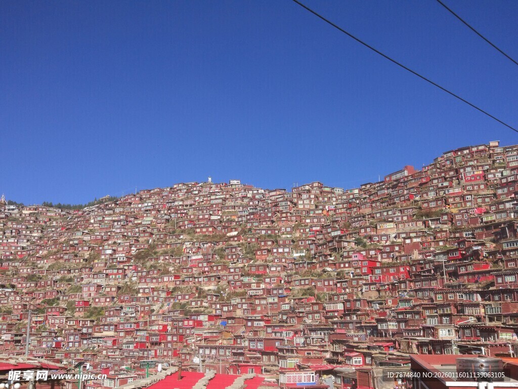 座无虚席的体育场看台