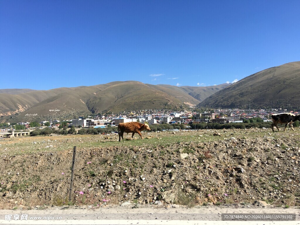 乡村田野与远山风景