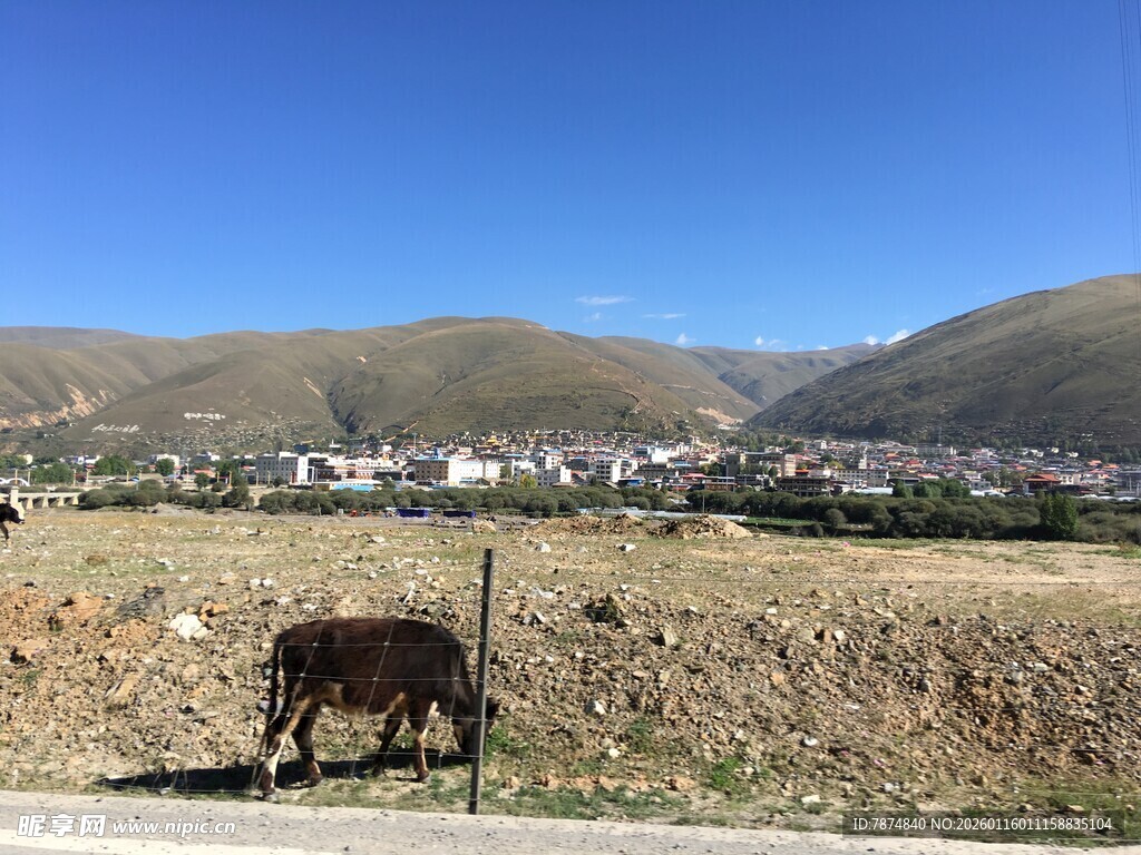 田野边的毛驴与远山风景