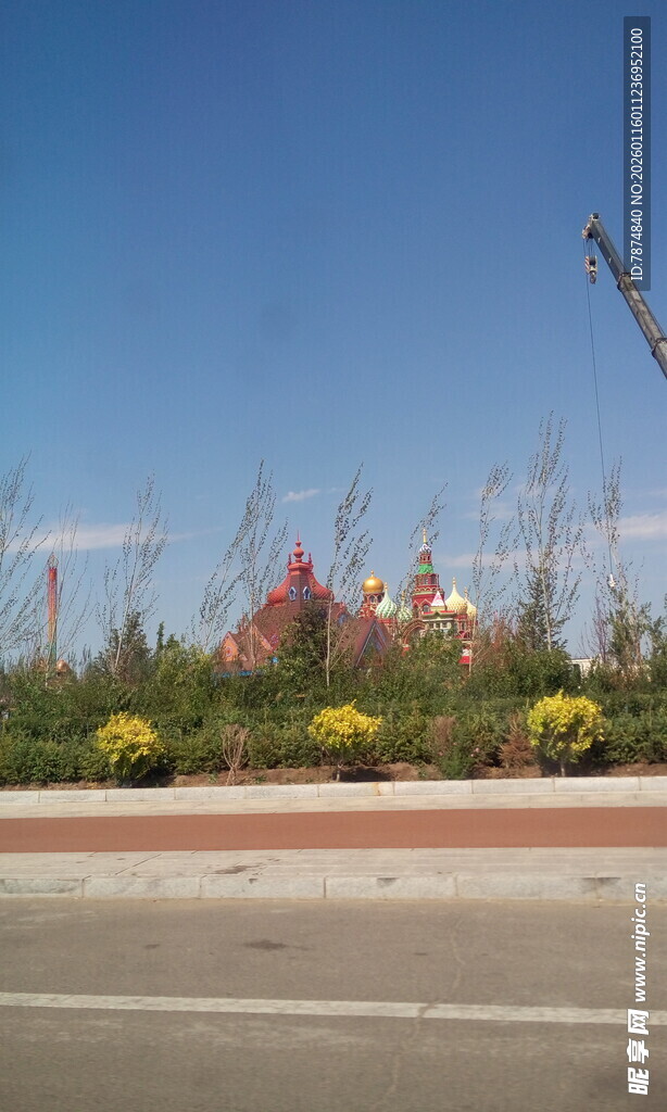 路边多彩花卉景观