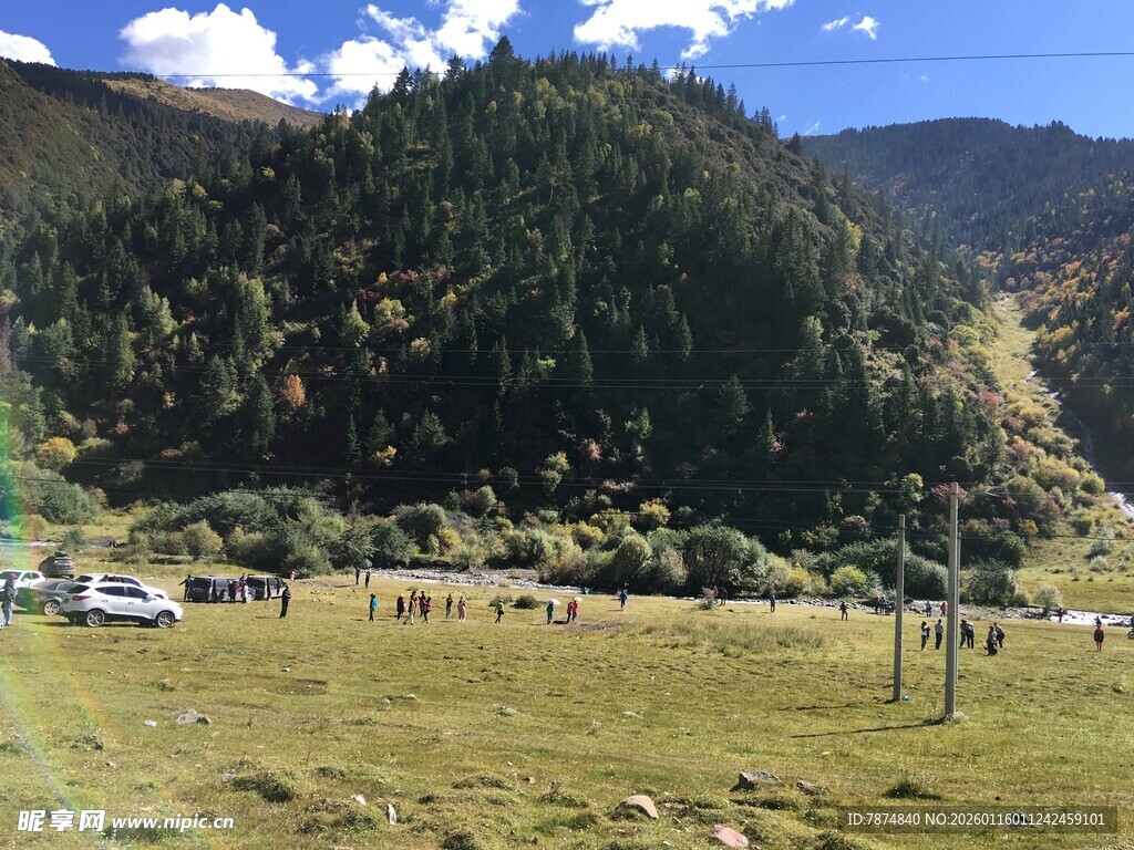 草原山林间的放牧景象