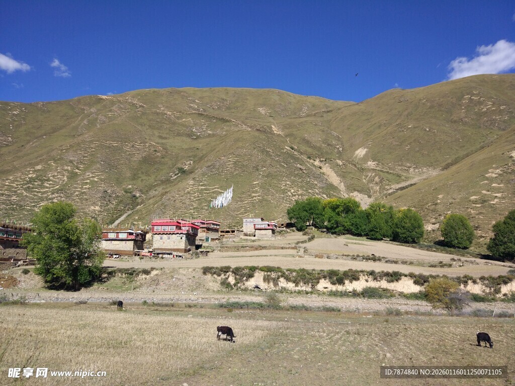 山间村落与放牧场景