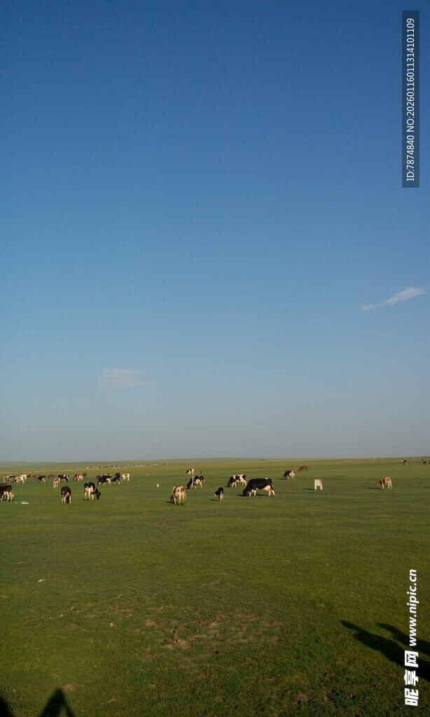 草原风光 广袤绿野