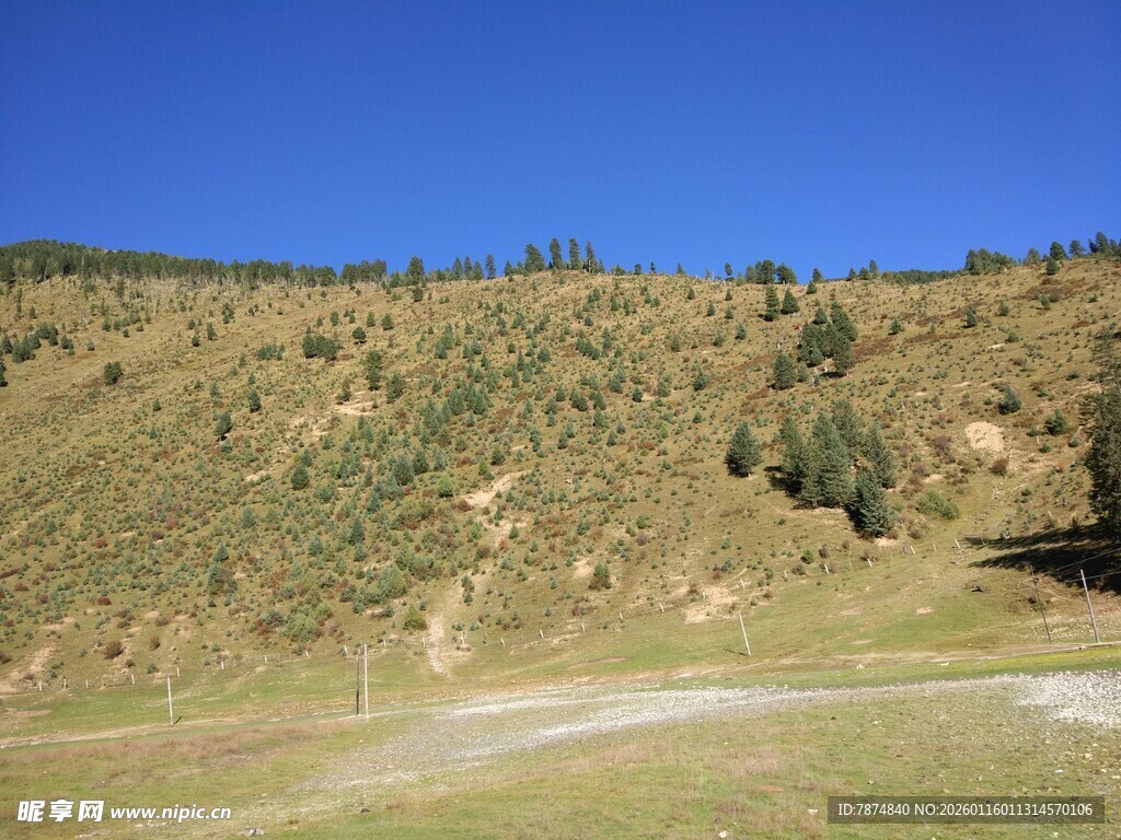 山间草地与蜿蜒小路