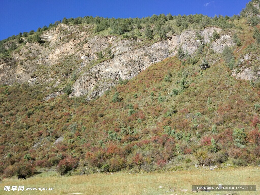 青山绿野的自然景致