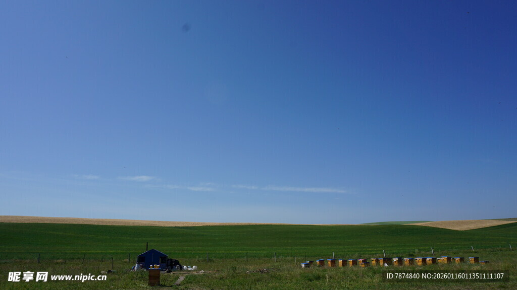 草原上的蓝色车辆