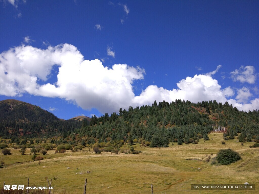 蓝天绿野山林美景