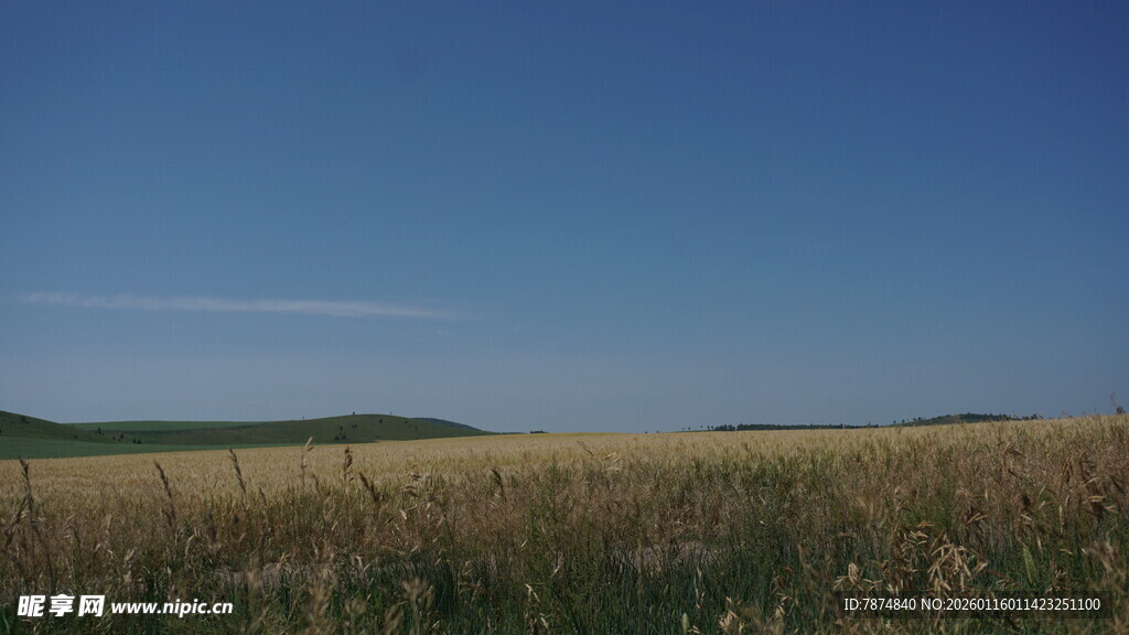 广袤田野蓝天