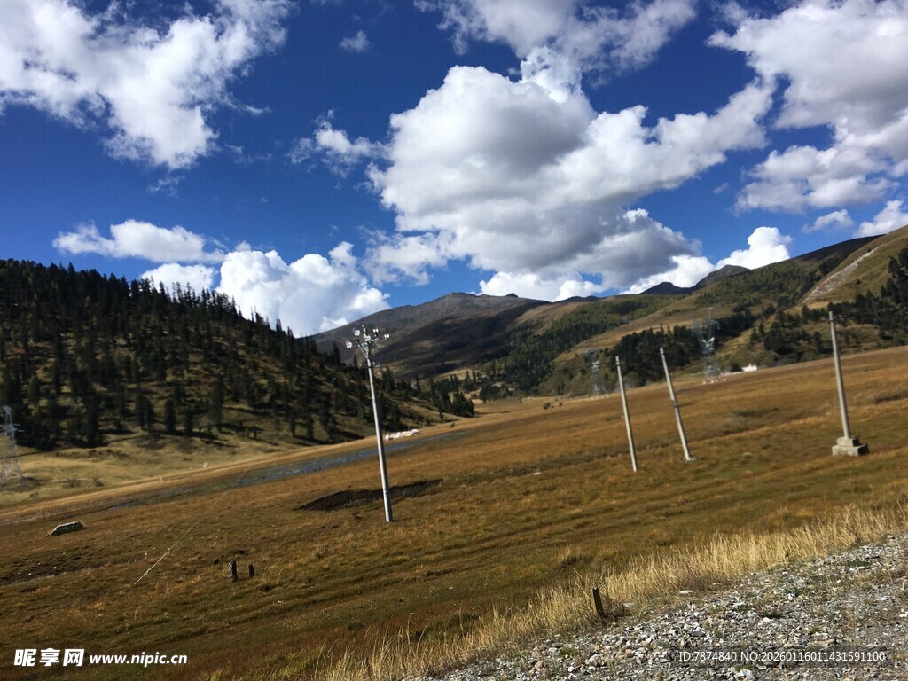 草原上的输电线路景观