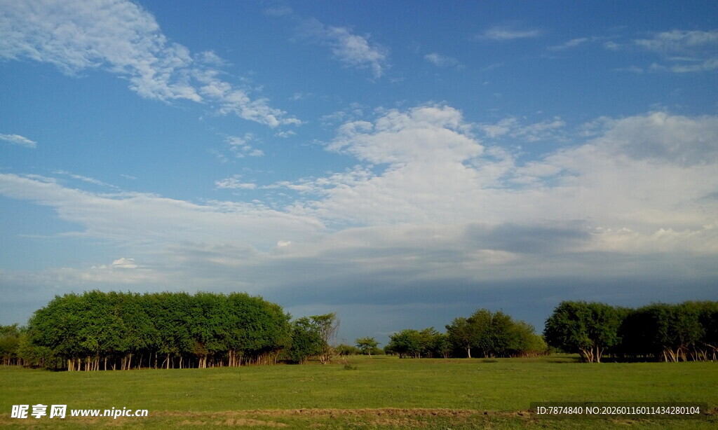 广袤绿野上的蓝天白云绿树