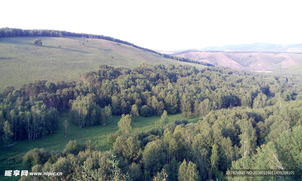 俯瞰葱郁山林美景
