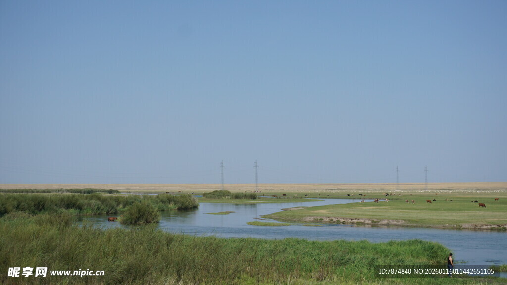 湿地风光 宁静自然之景