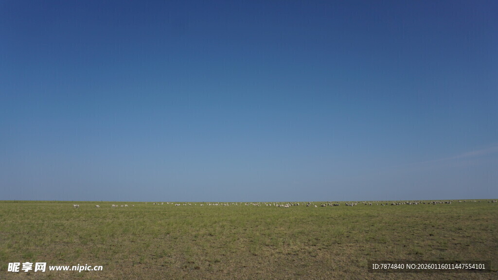 广袤草原与湛蓝天空
