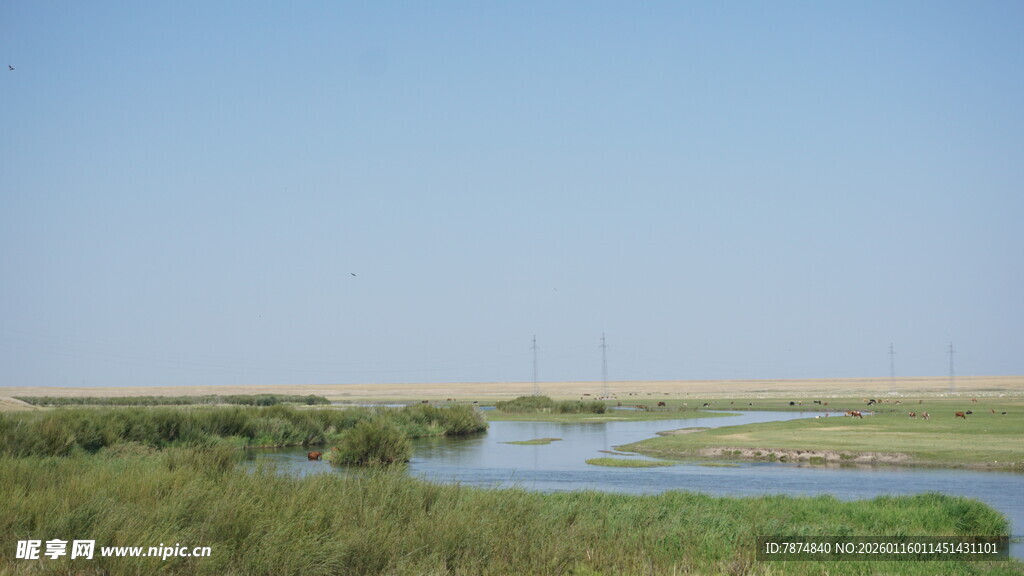 广袤湿地风光