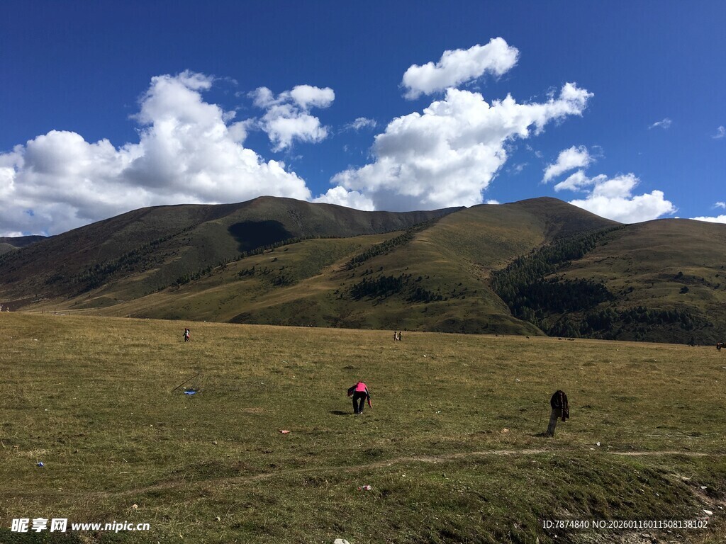 草原上的漫步身影
