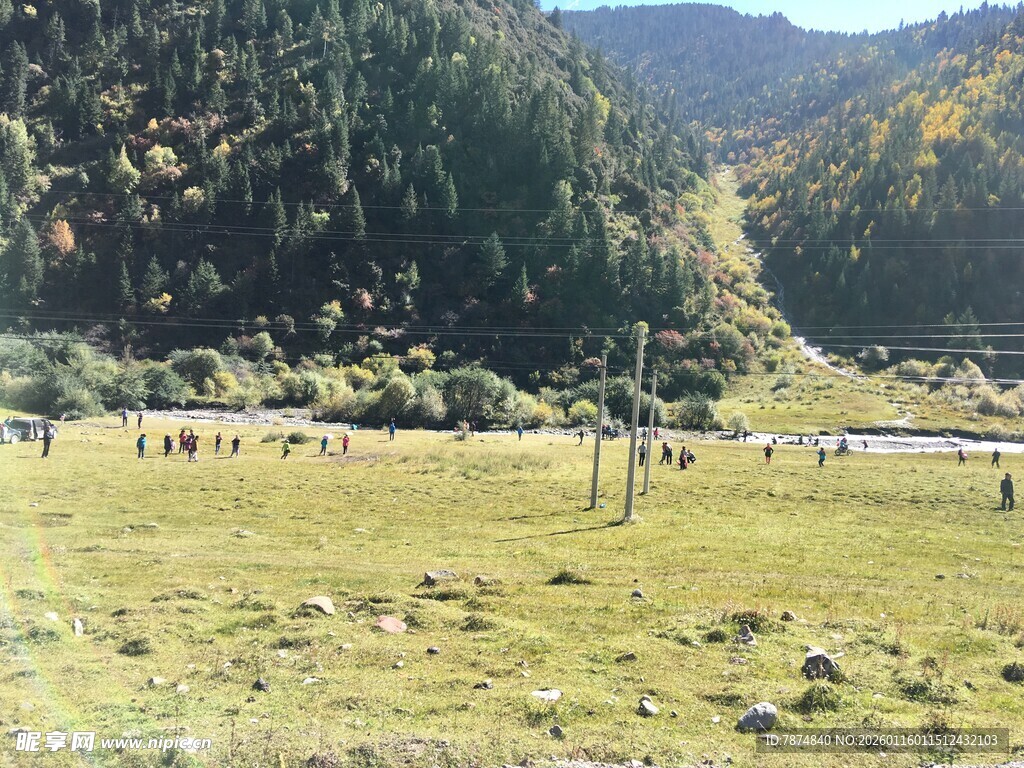 山间草原上的动物风景