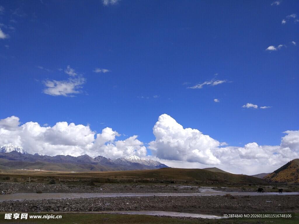 蓝天白云下的广袤原野