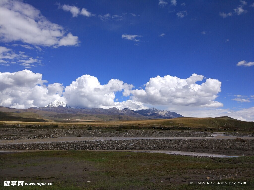 蓝天白云下的广袤原野