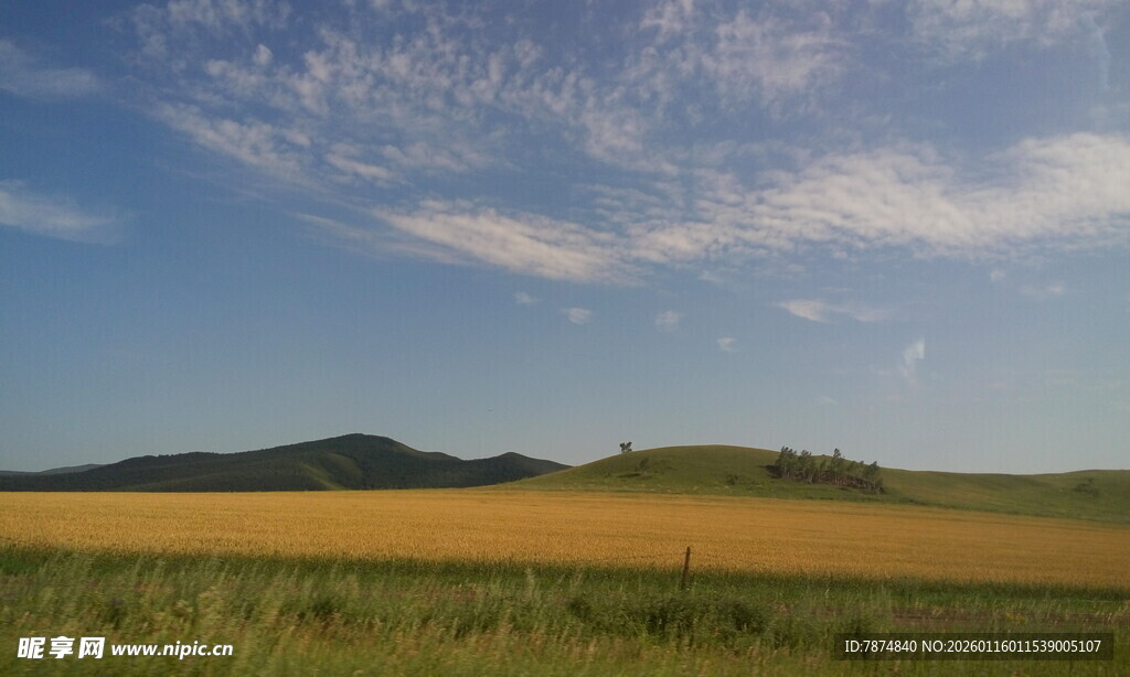 广袤草原与蓝天美景