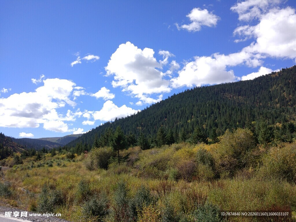 山间公路旁的美丽自然景