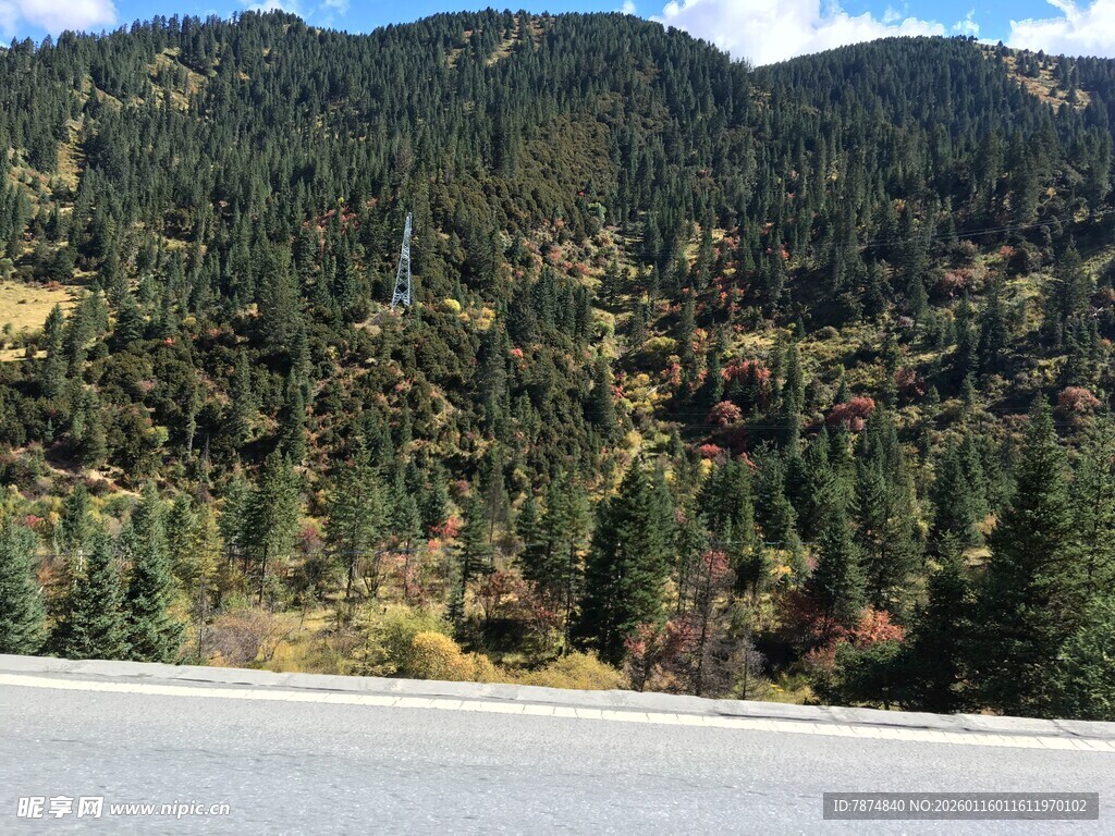 公路旁的葱郁山林景观