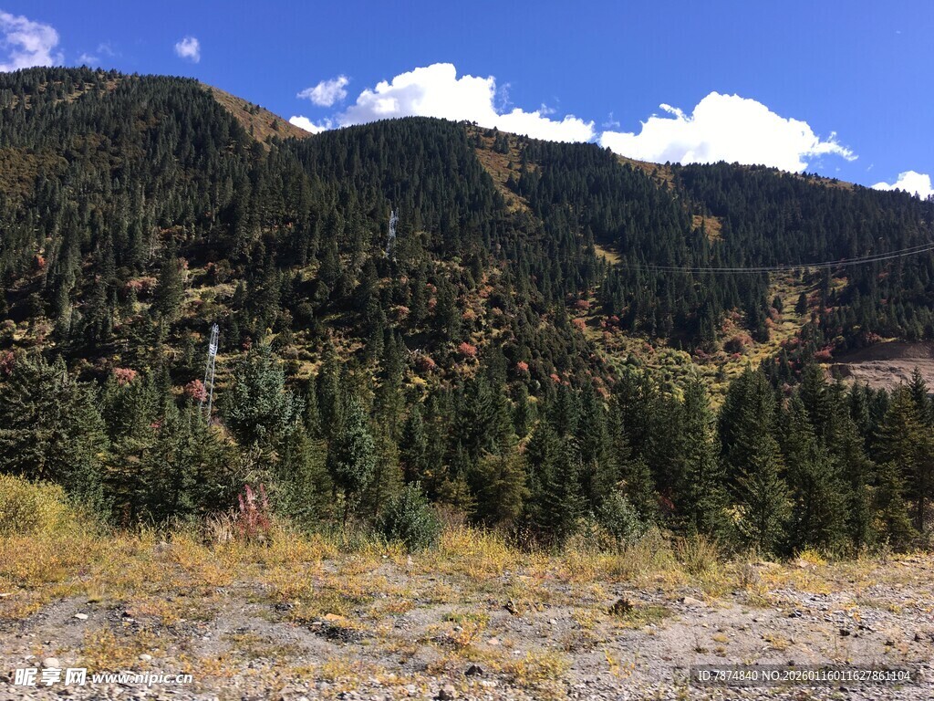 山间美景 葱郁林木与蓝天