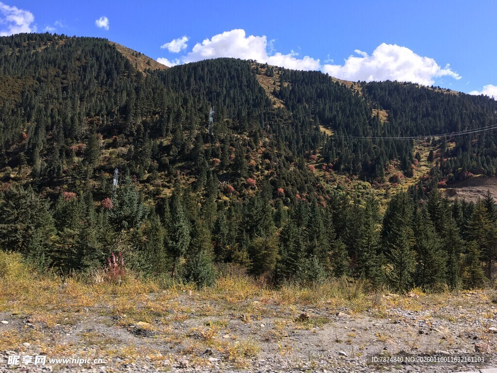 山间葱郁树林风景图