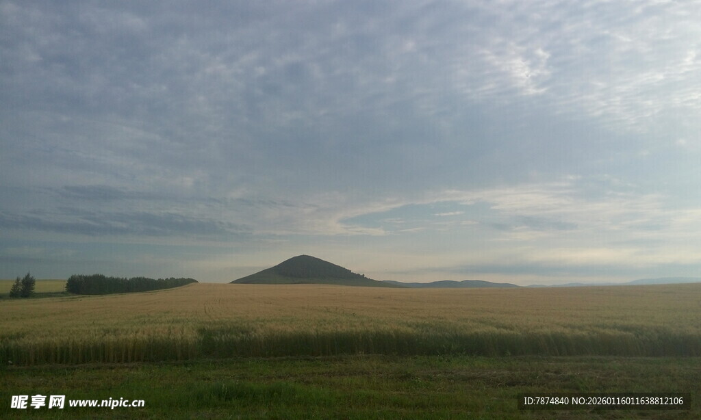 广袤田野与远处山丘