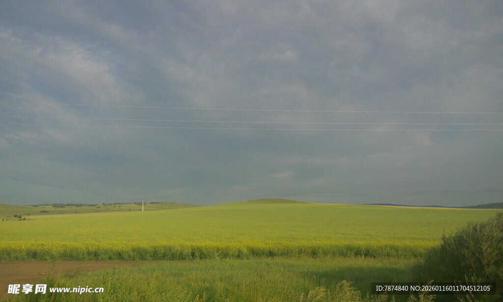 广袤田野上的黄绿风光