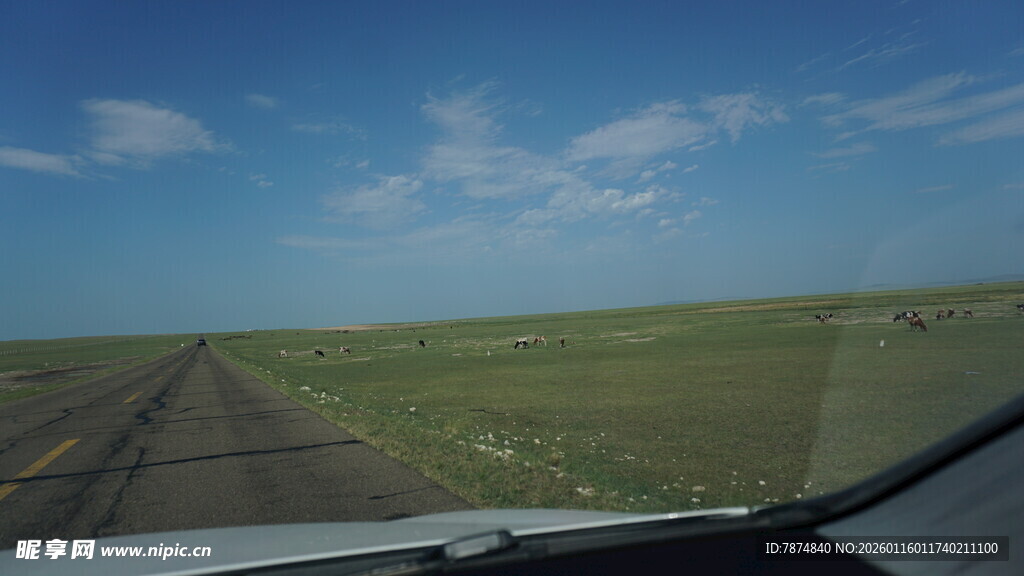 公路上的开阔草原风景